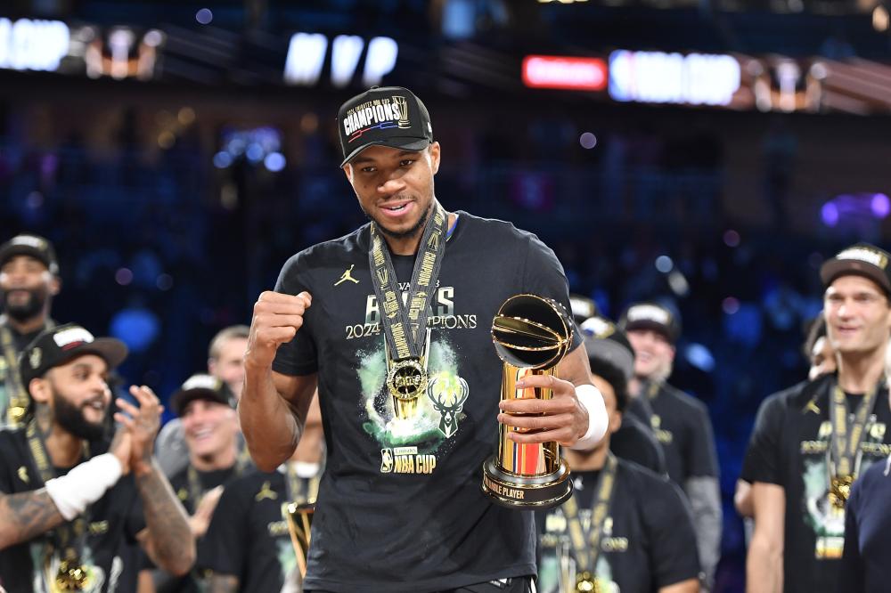 了外界的质 了外界的质